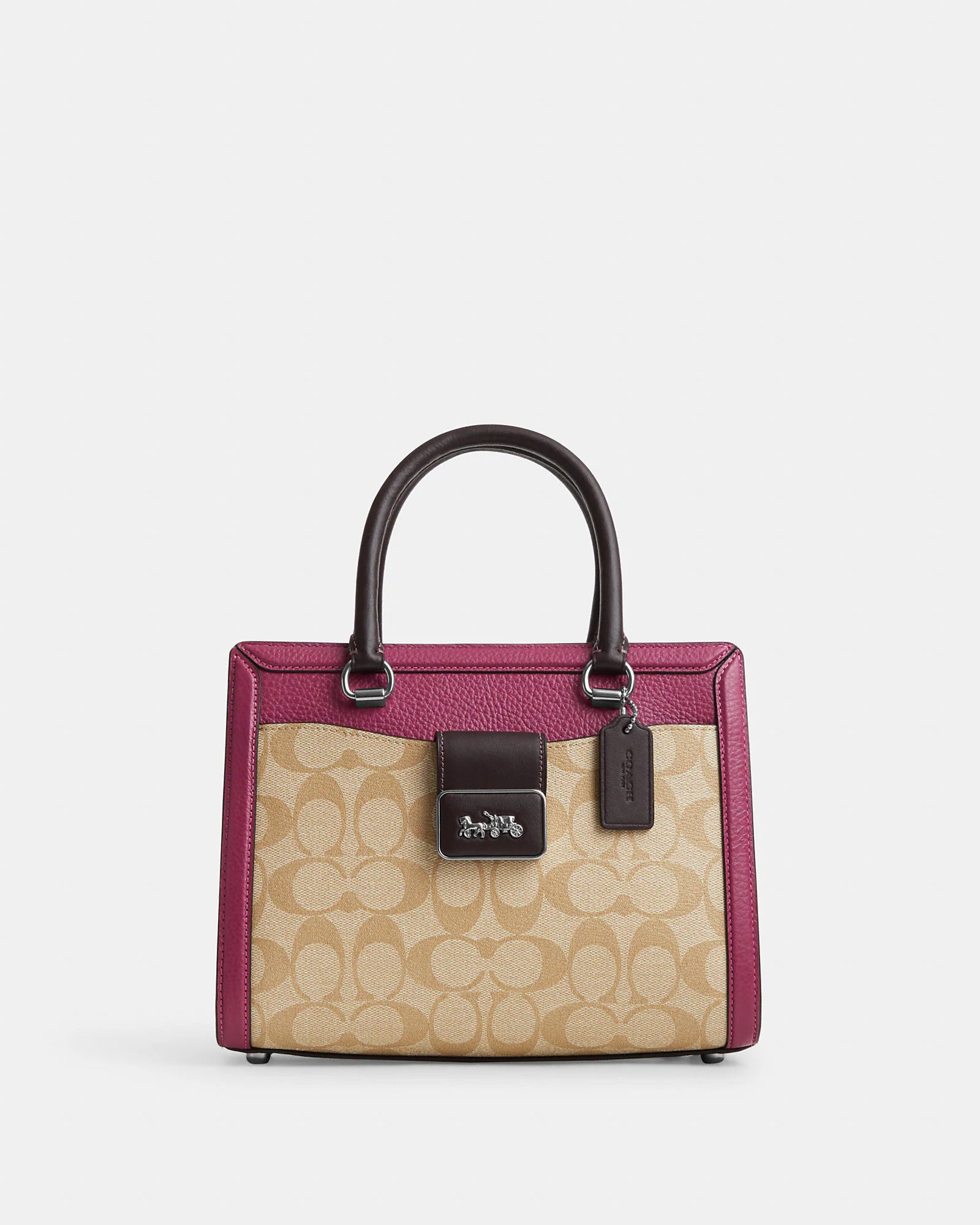 Zoe carryall best sale in signature canvas