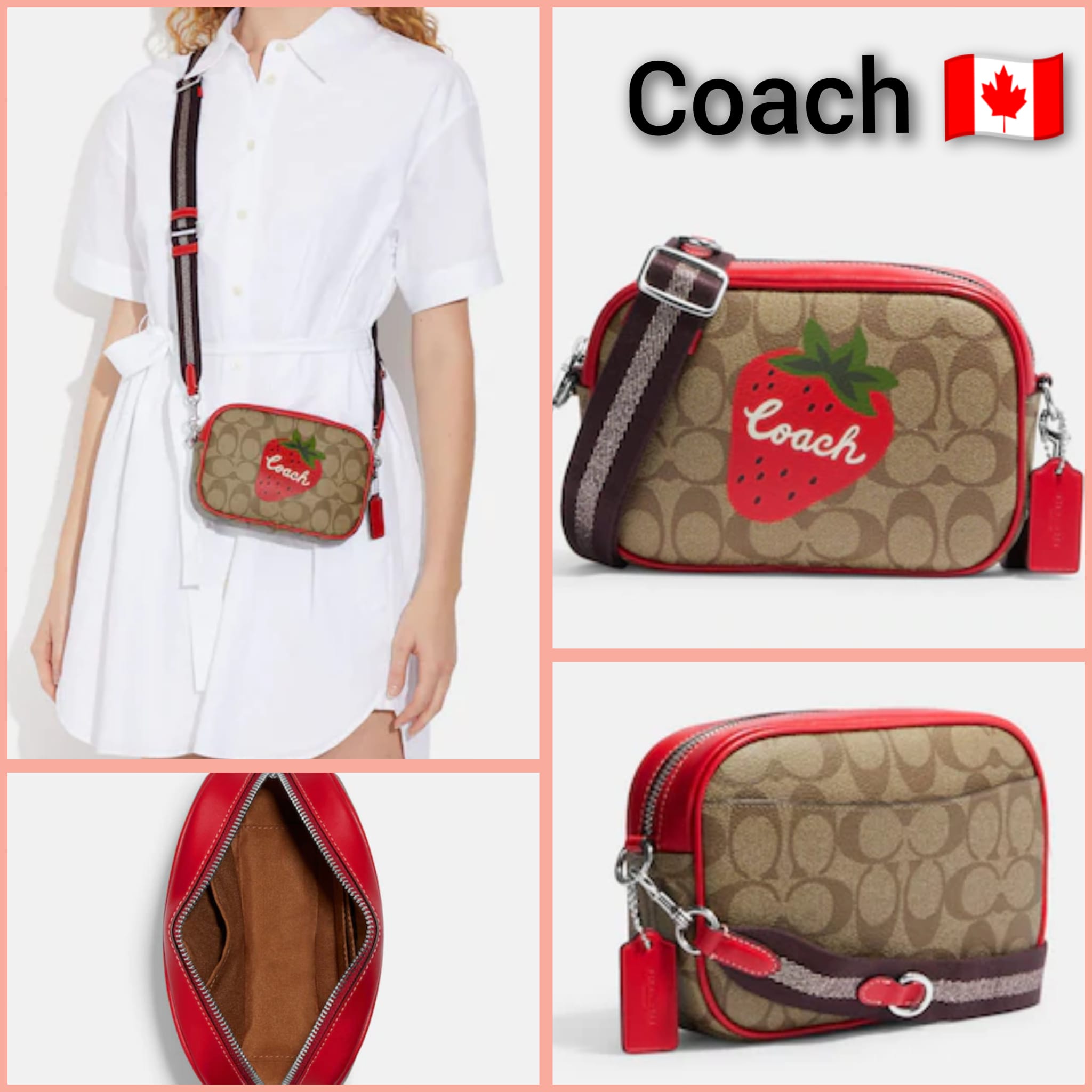 Coach Phone Crossbody in Signature Canvas with Bee Print