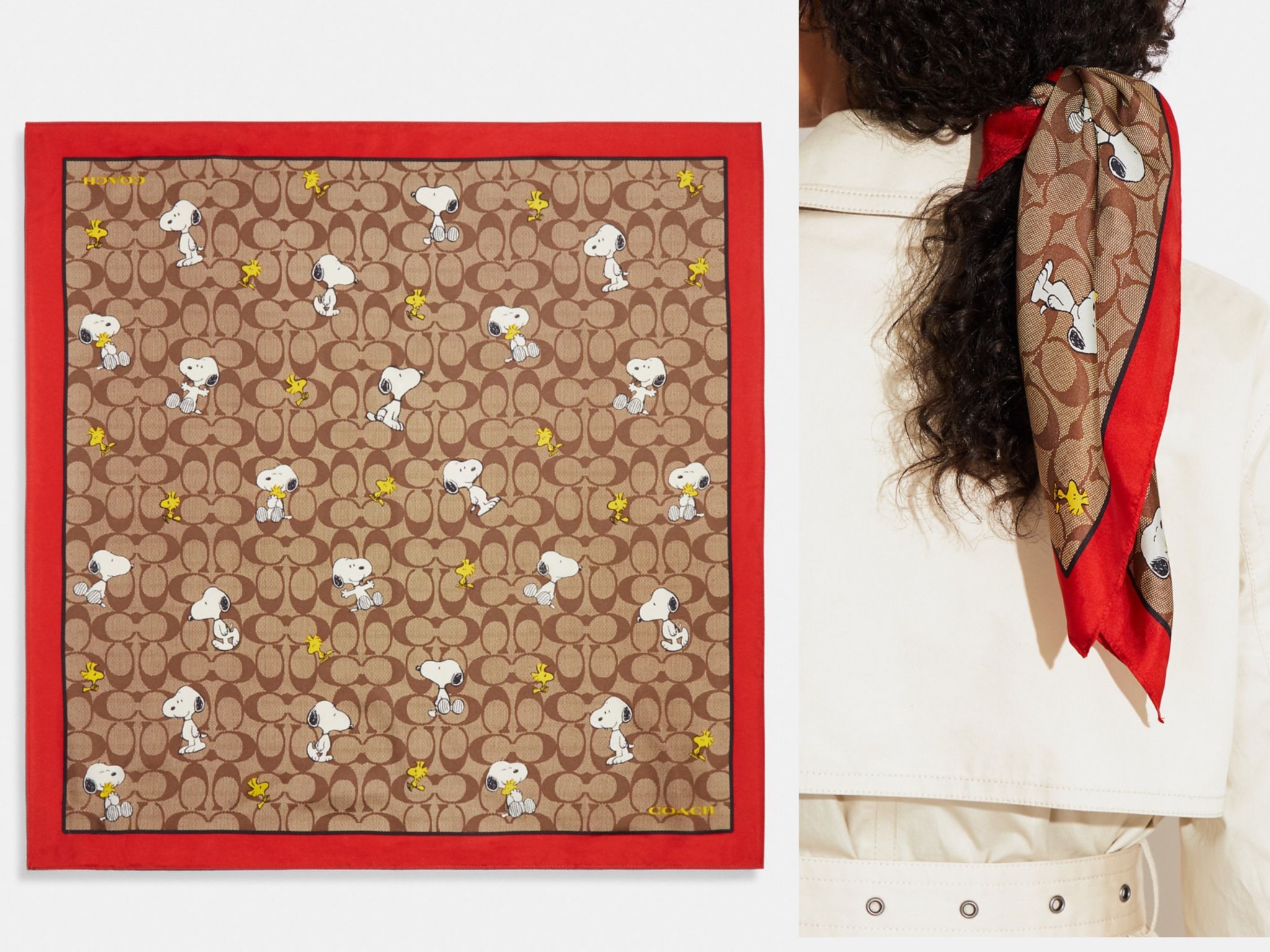国内発! Coach X Peanuts★Woodstock Signature Silk Bandana COACH X PEANUTS Woodstock Signature Silk Bandana Beige & Hot