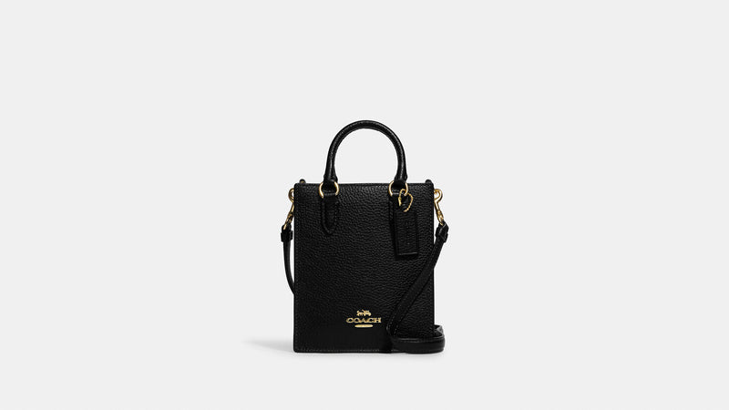 Coach North South Mini Tote