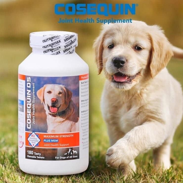 Cosequin Maximum Strength Plus MSM Joint Health Supplement for Dogs》180 Tablets Cosequin 含MSM 狗狗葡萄糖胺強效配方維生素👍🏻180粒裝