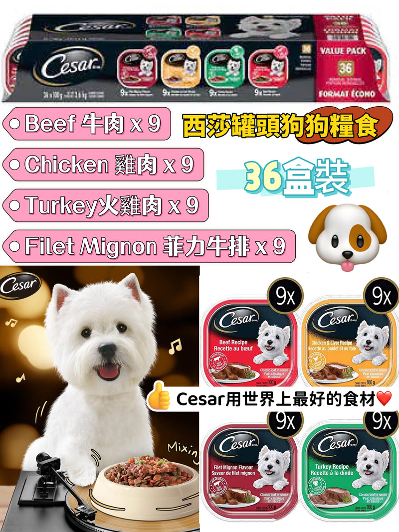 Cesar Classic Loaf in Sauce Soft Wet Dog Food Variety Pack- 36x100g 西莎罐頭狗狗糧食 36盒裝