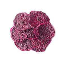 Volupta Dired Dragon Fruit 紅肉火龍果乾 113g