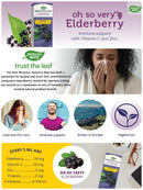 Nature's Way Sambucus Immune Syrup with Zinc and Vitamin C - 120 ml 兒童接骨木果漿120ml