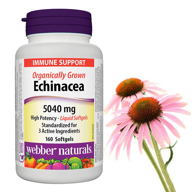 Webber Naturals Echinacea 5040mg 160softgels