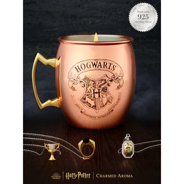 Charmed Aroma Harry Potter Copper Mug