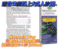 Nature's Way Sambucus Immune Syrup with Zinc and Vitamin C - 120 ml 兒童接骨木果漿120ml